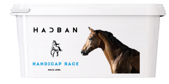 Премикс для лошадей HADBAN™ HANDICAP RACE (Хадбан Гандикап Рейс), 4 кг